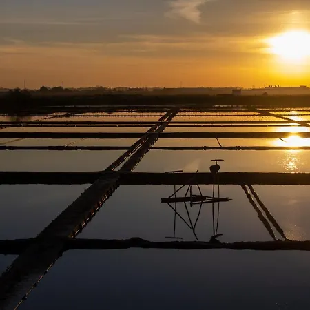 Casa Falcoeiras - Estúdio Com Terraço Privado Apartamento Aveiro